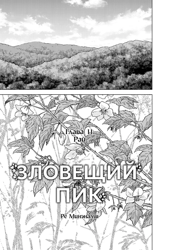 Страница 1