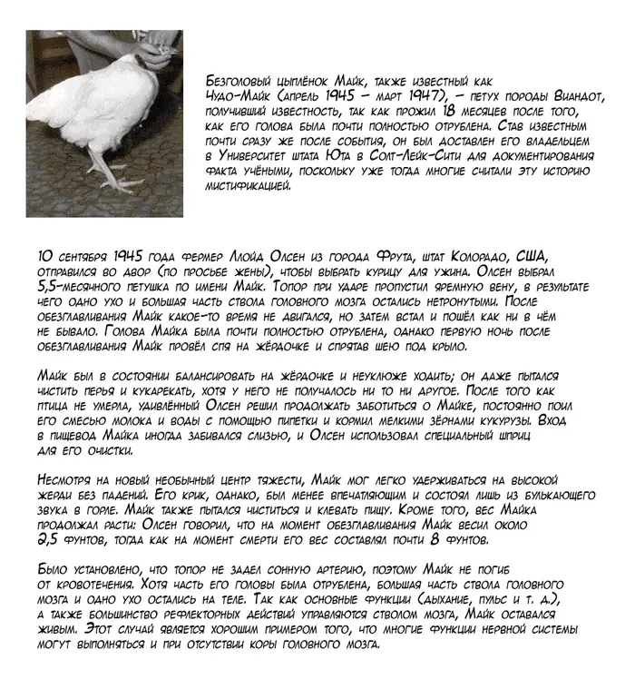 Страница 20