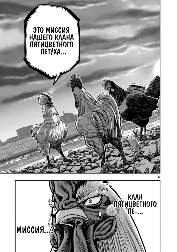 Страница 13