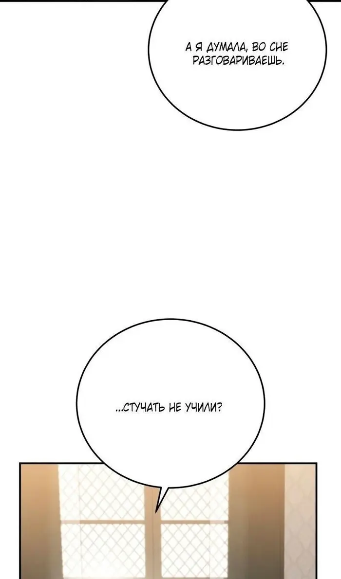 Страница 121