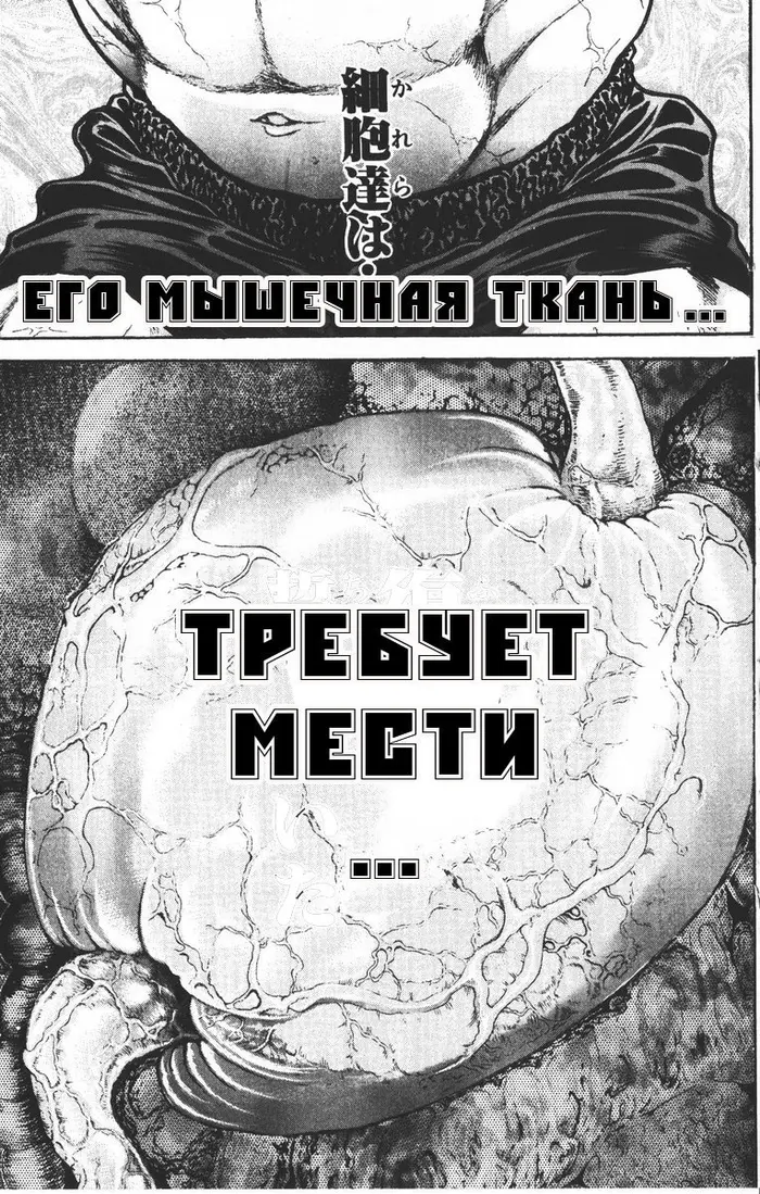 Страница 54