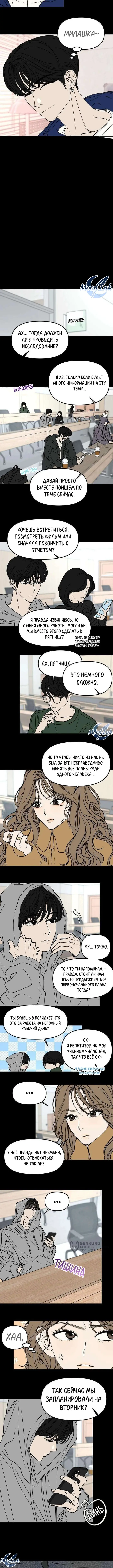 Страница 5