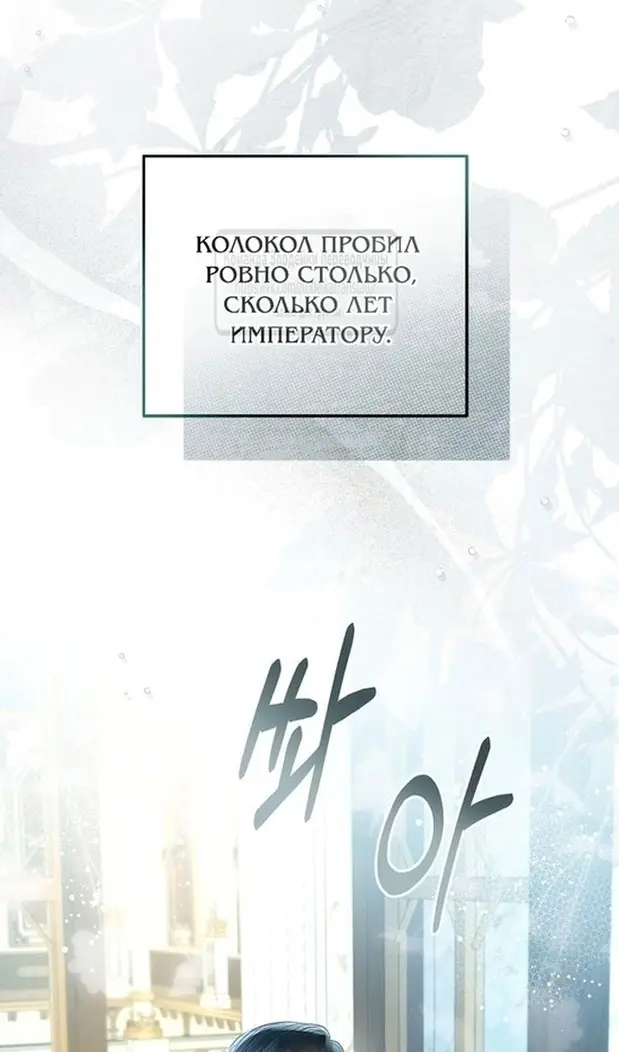 Страница 81