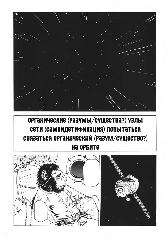 Страница 41