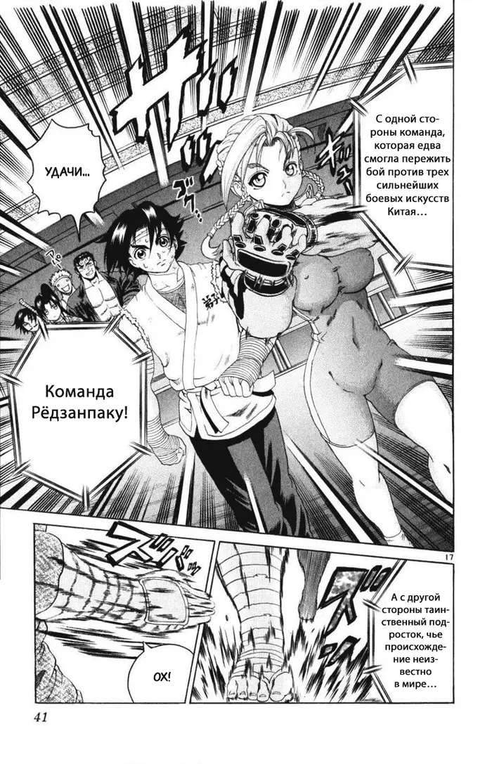 Страница 17