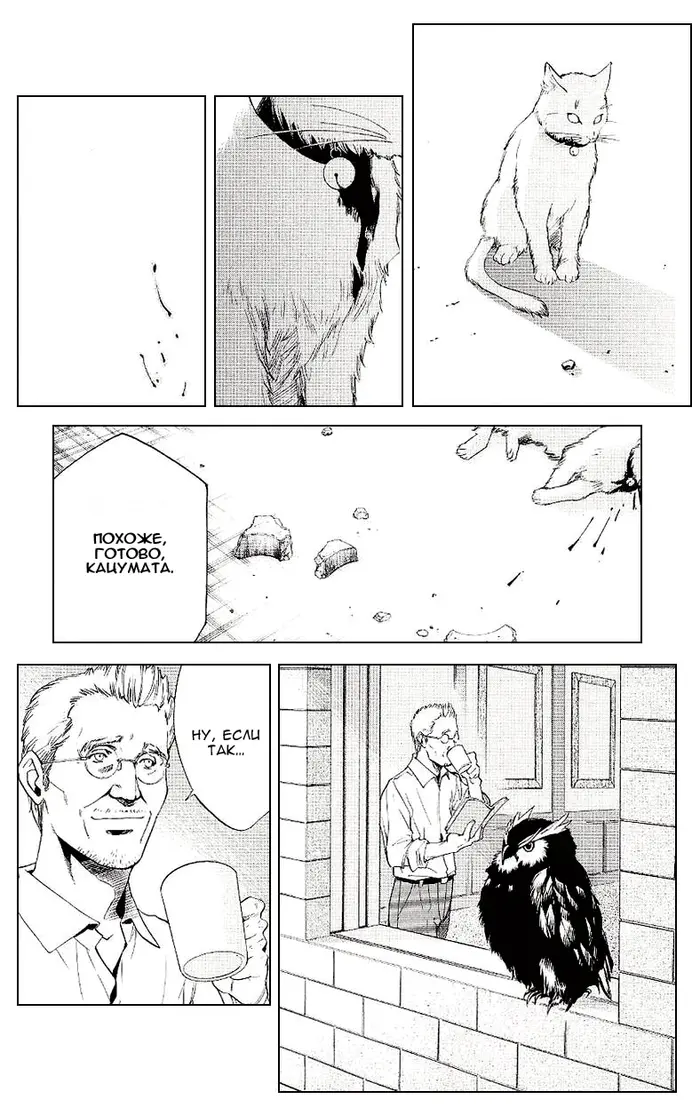Страница 44