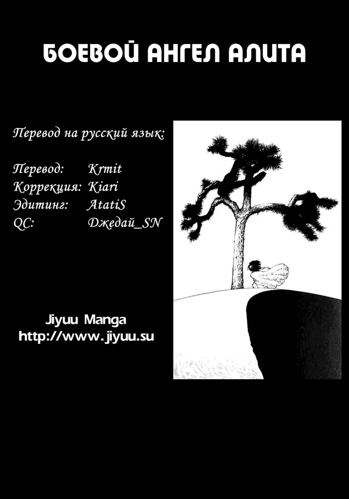 Страница 25