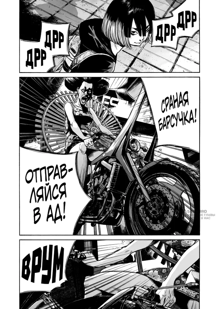 Страница 12