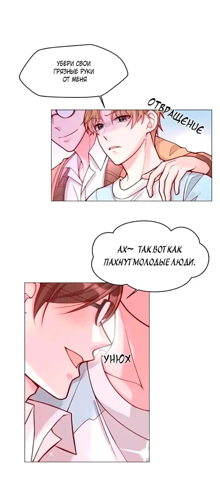 Страница 17
