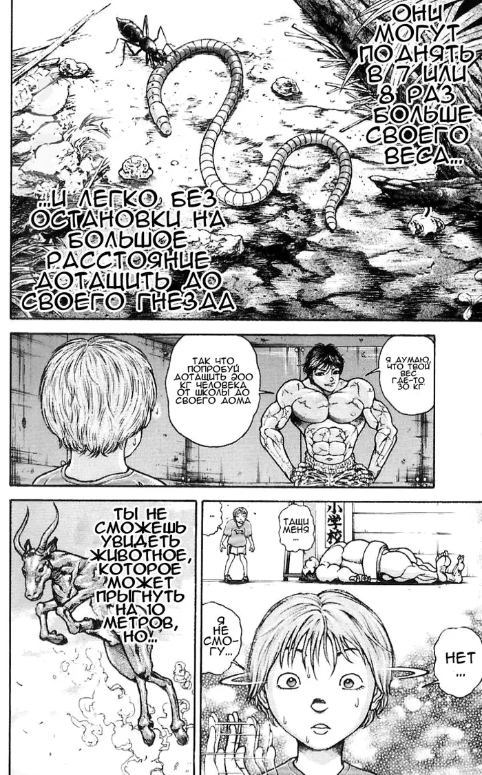 Страница 13