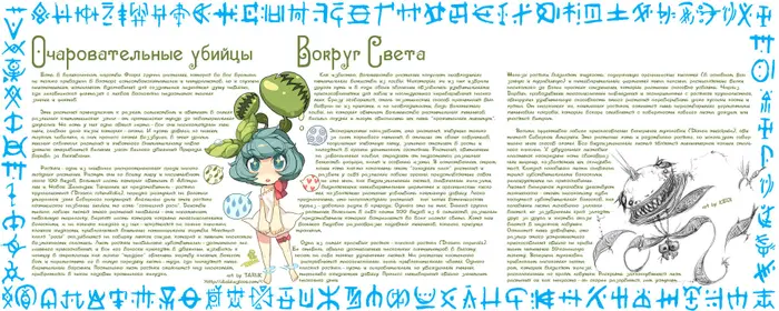 Страница 21