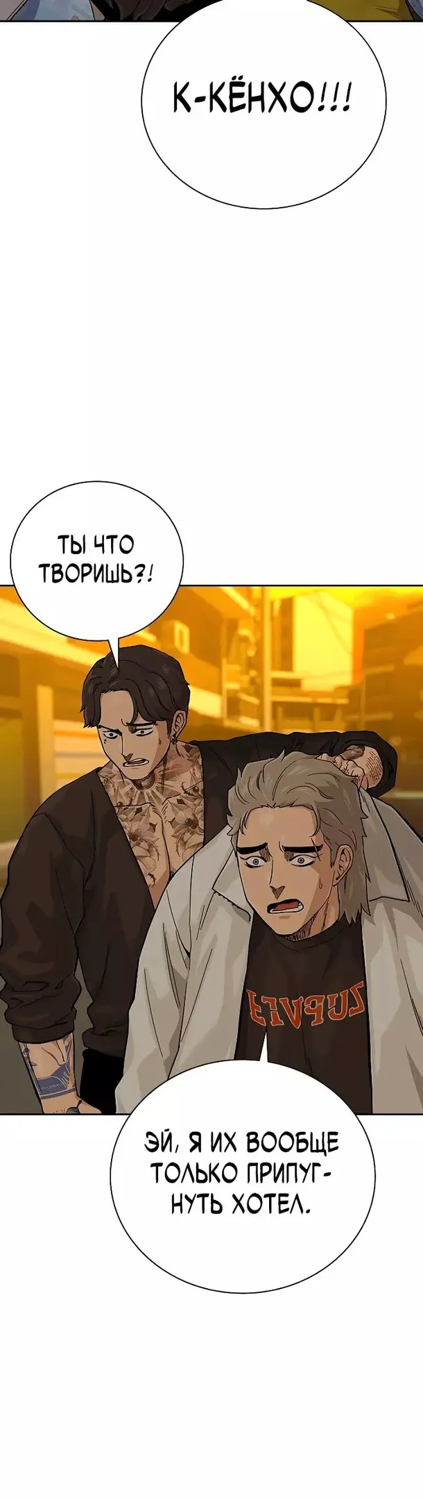 Страница 43