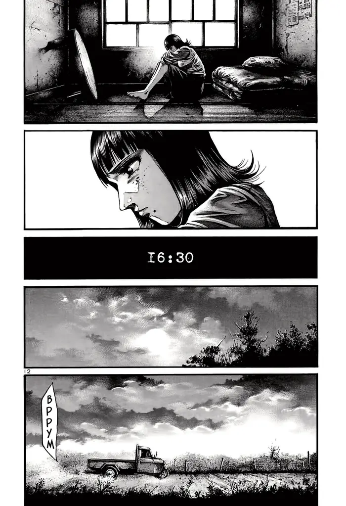 Страница 12