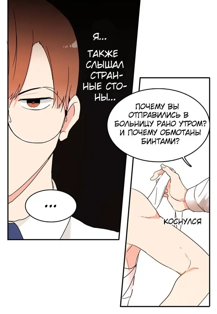 Страница 43