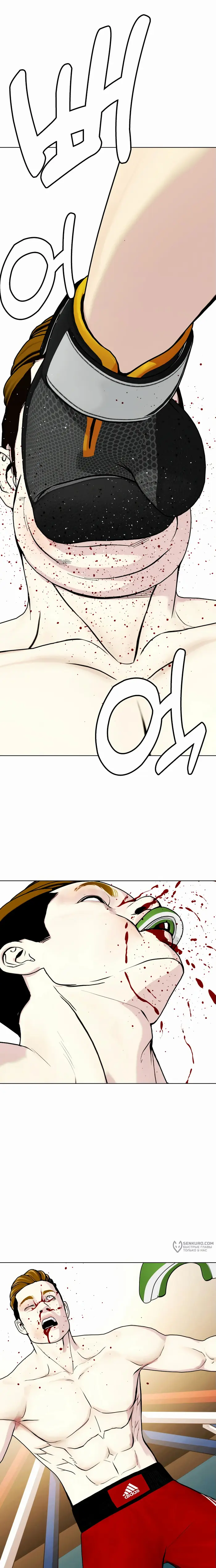 Страница 17