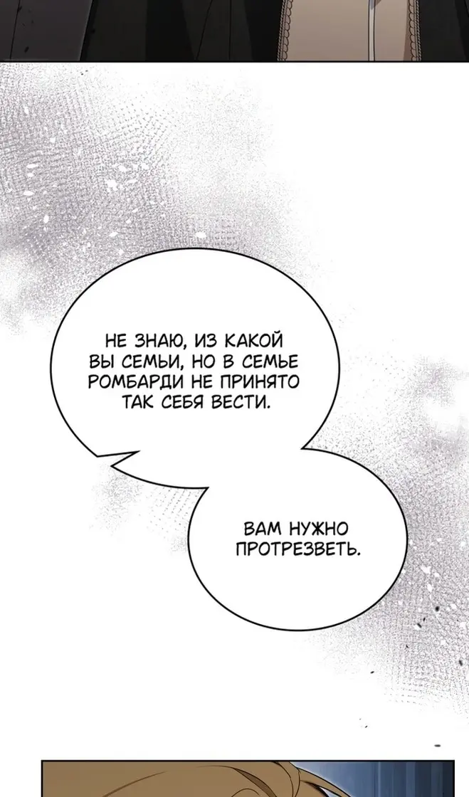 Страница 116