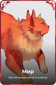 Мир