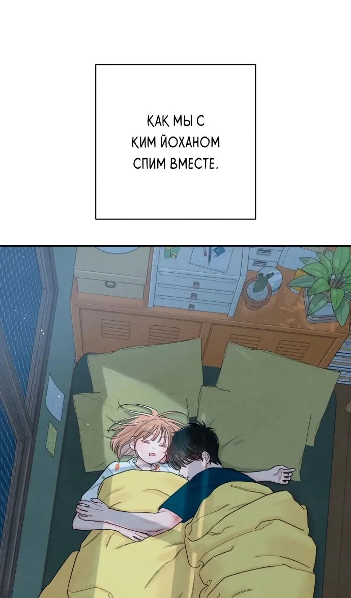 Страница 51