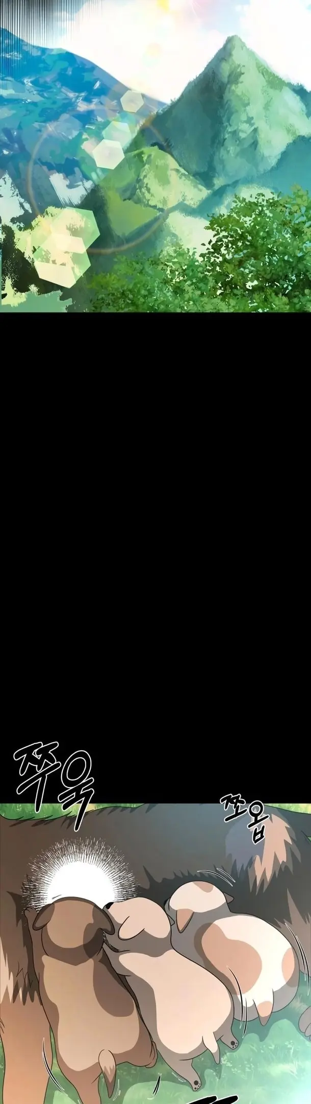 Страница 66