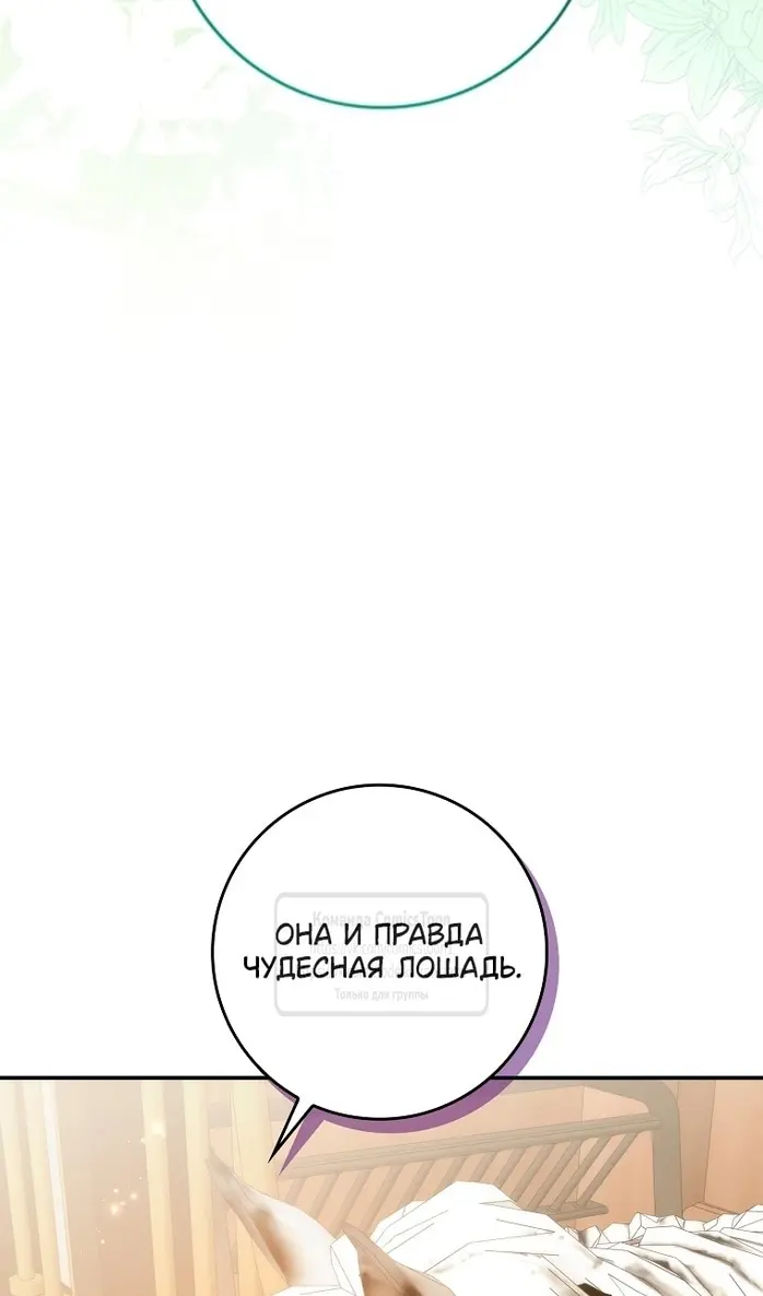 Страница 73
