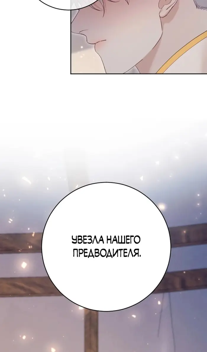 Страница 117
