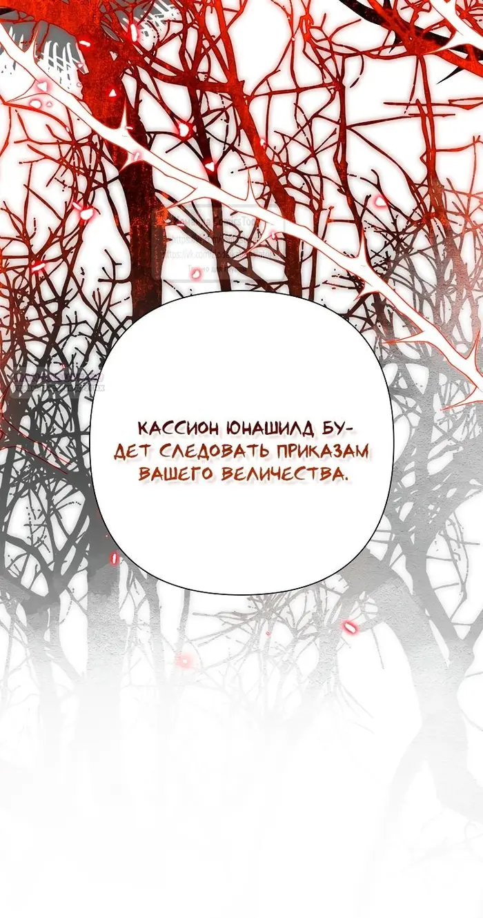 Страница 62