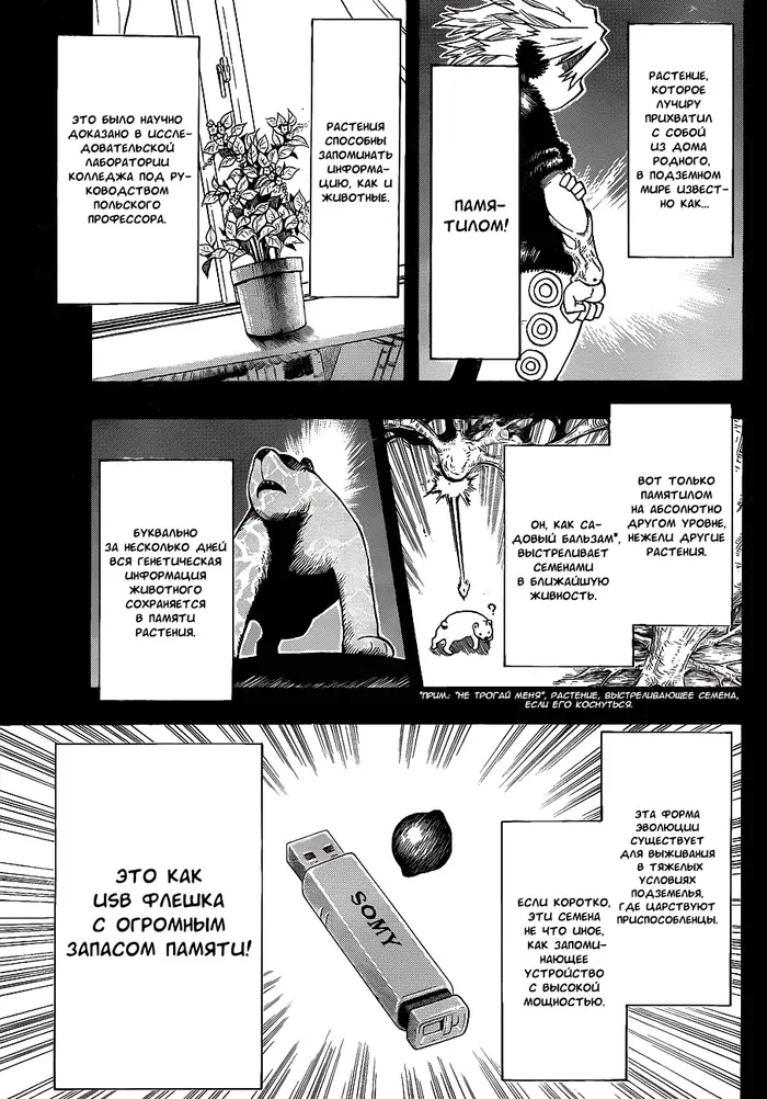 Страница 7