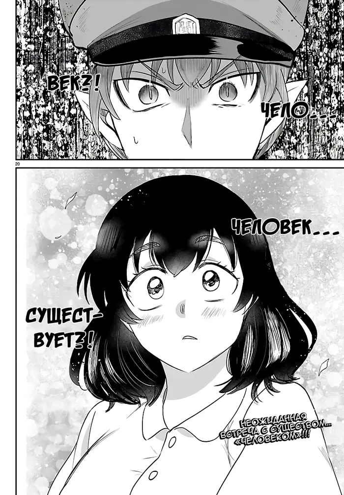 Страница 20