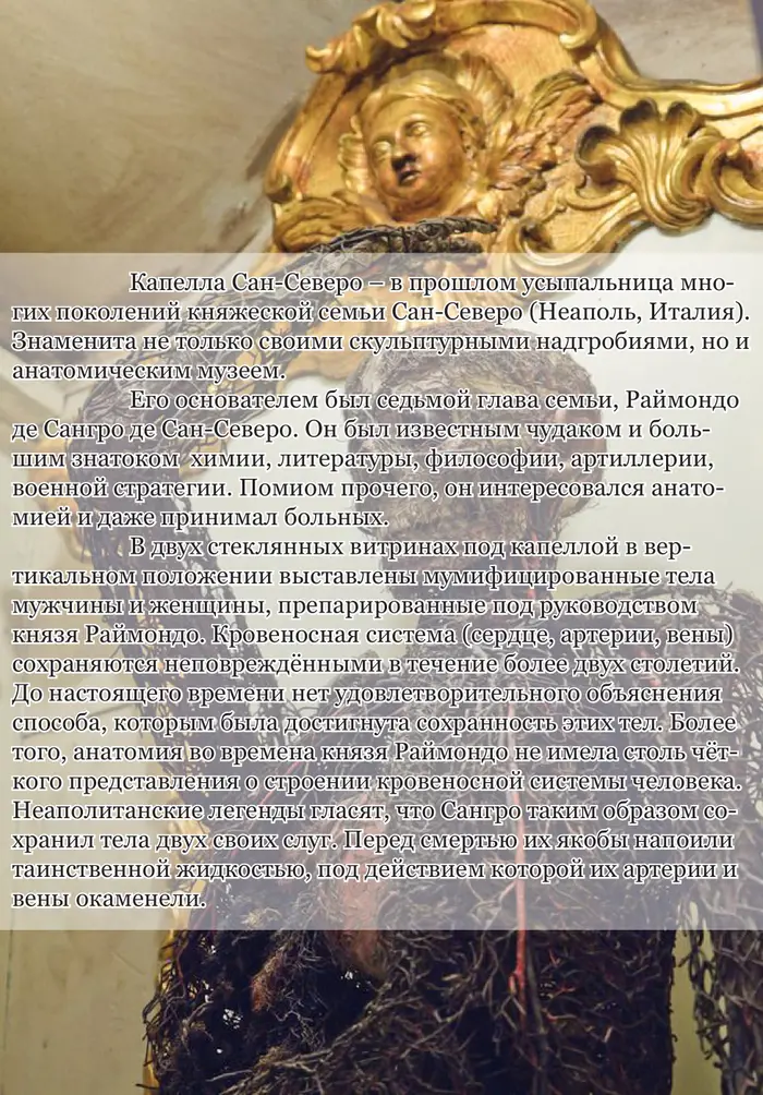 Страница 55