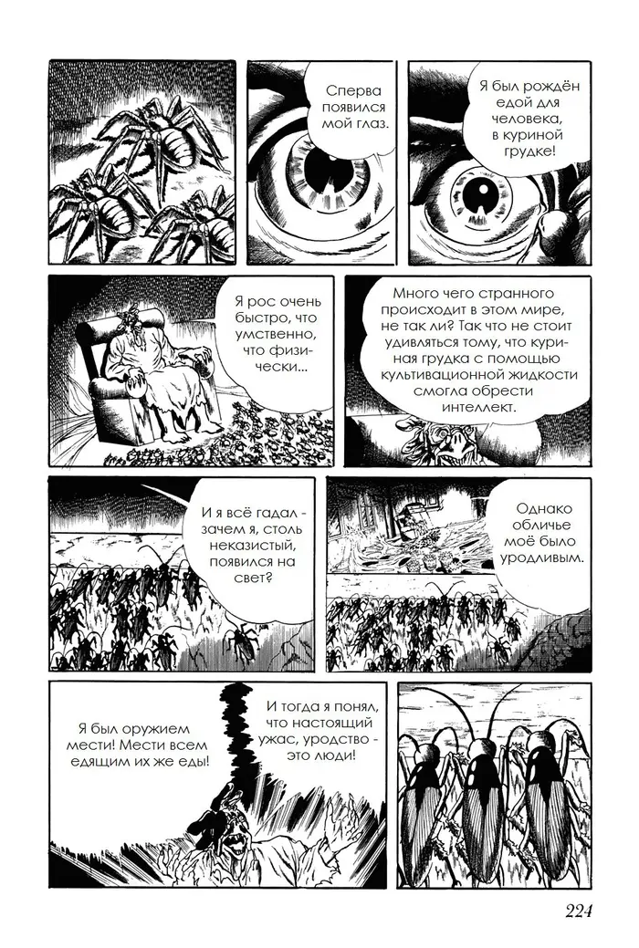 Страница 14