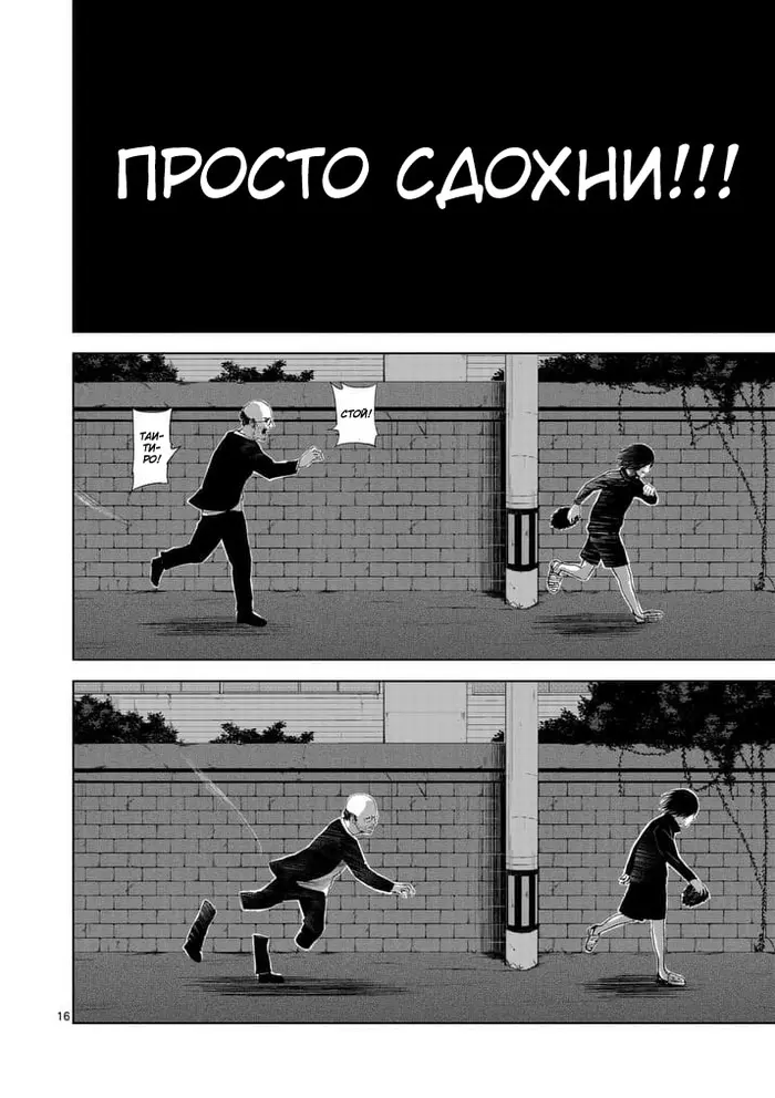 Страница 16