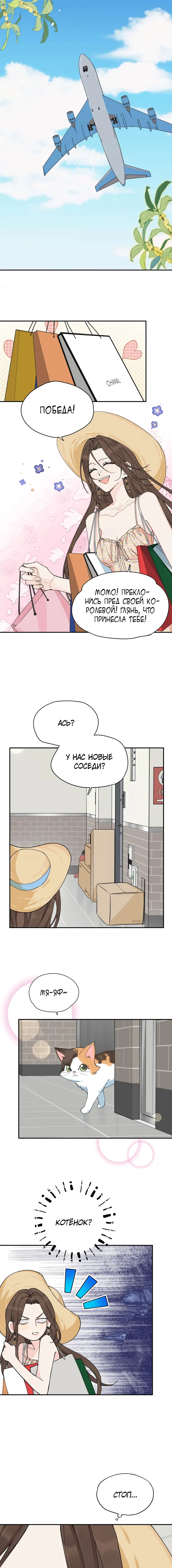 Страница 8
