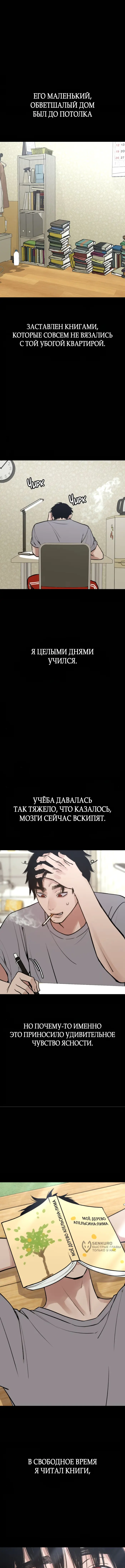 Страница 13