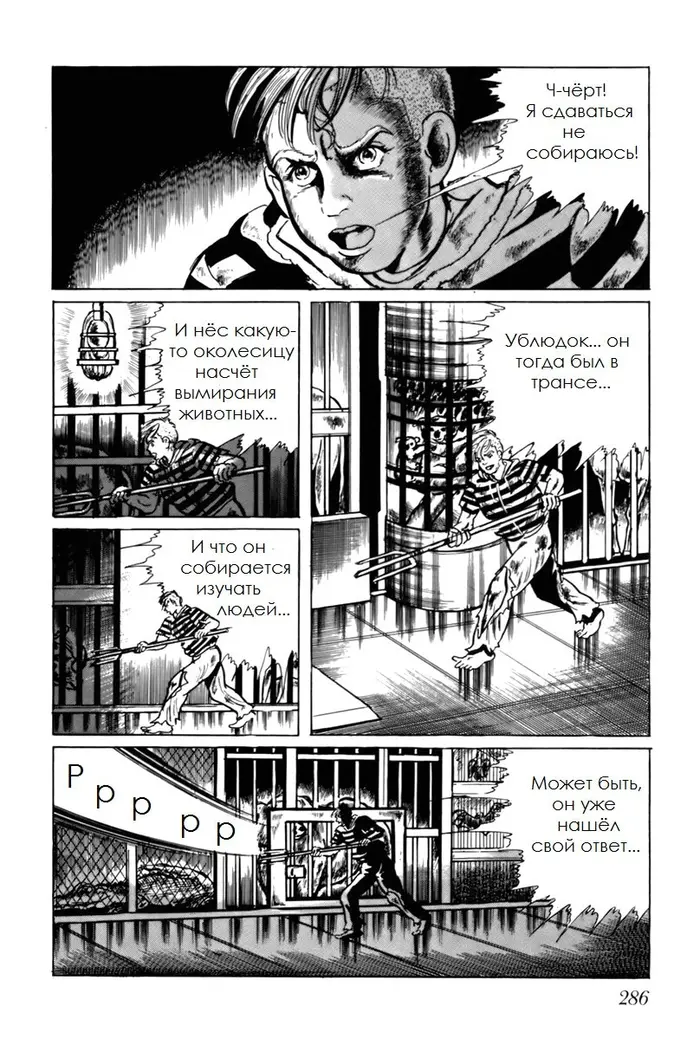 Страница 12