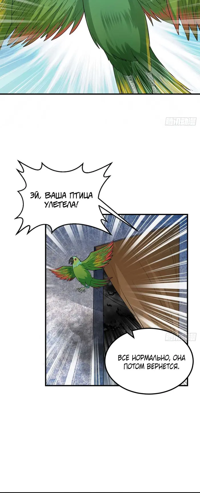 Страница 5