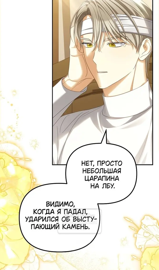 Страница 55
