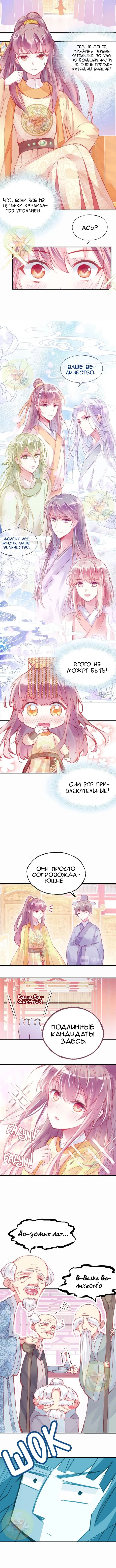 Страница 3