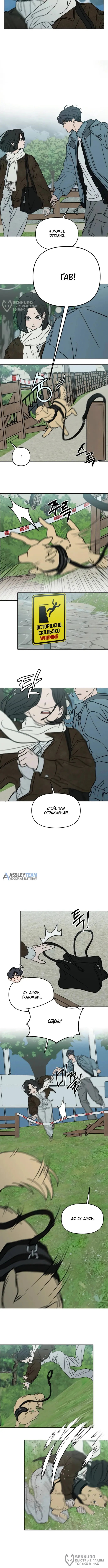 Страница 8