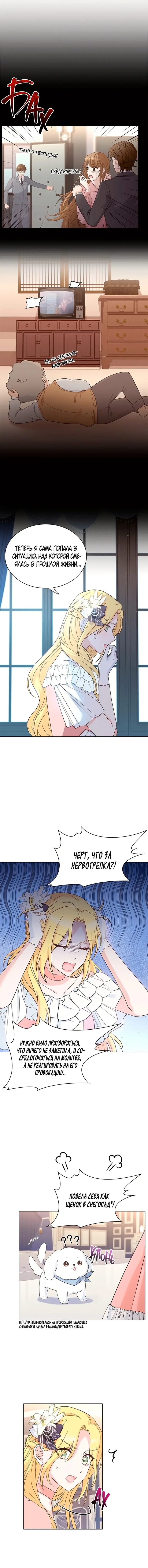 Страница 6