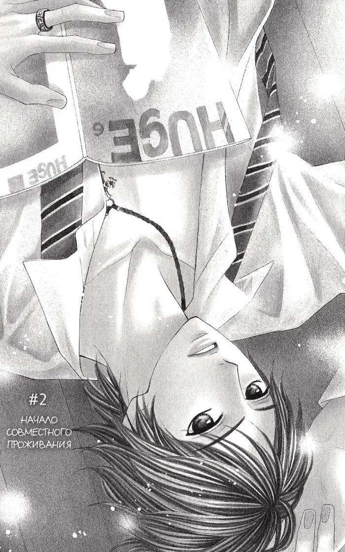 Страница 2