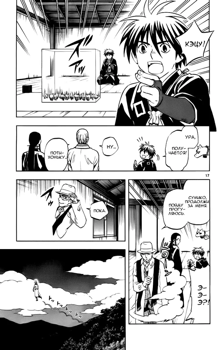 Страница 17