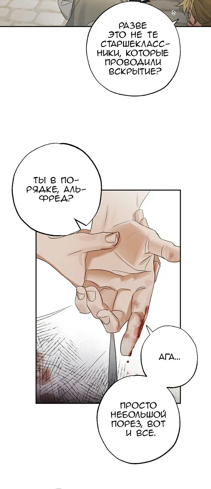 Страница 49
