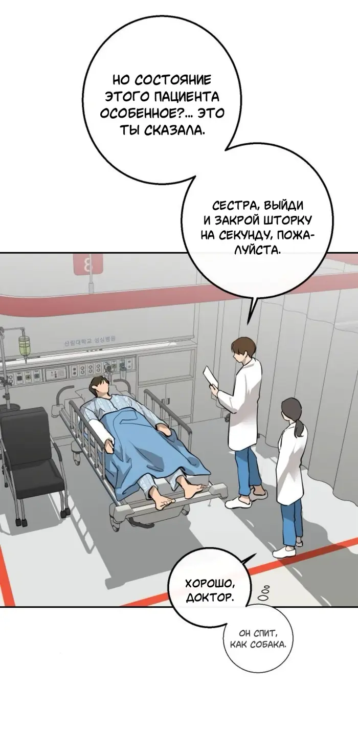 Страница 49