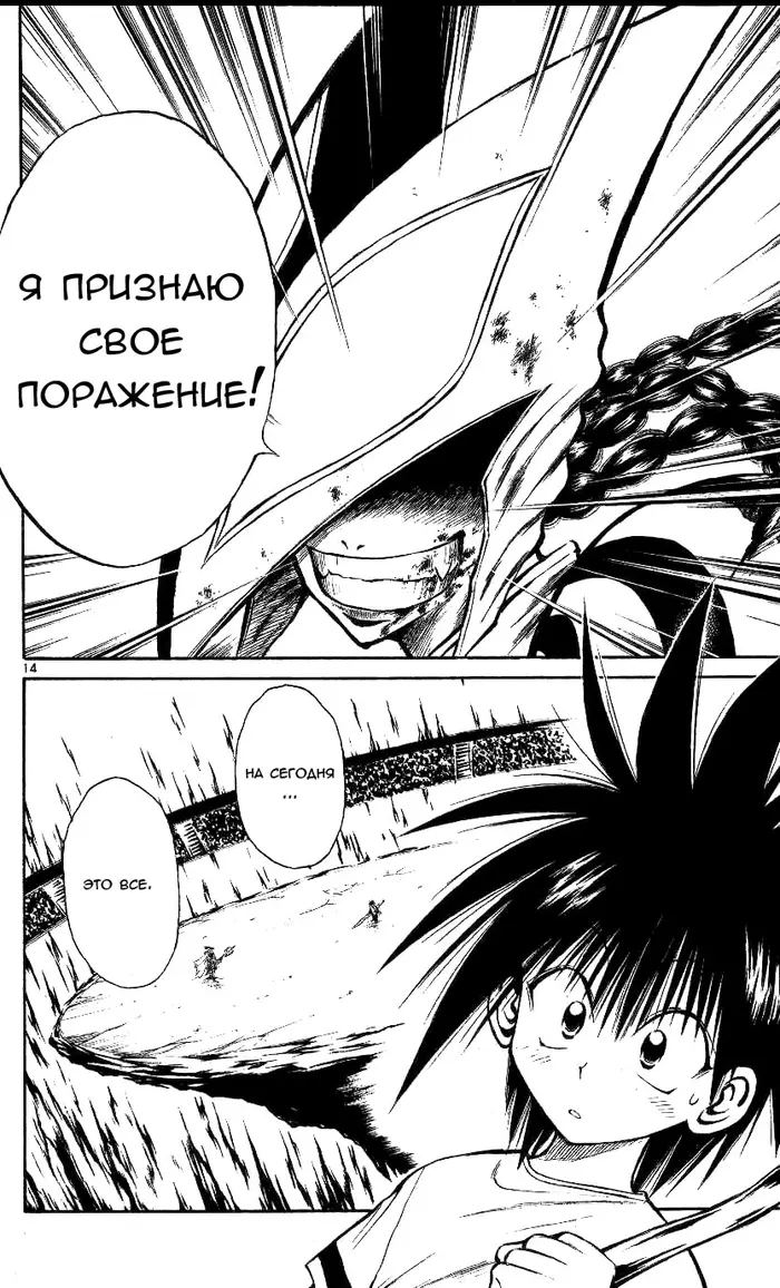 Страница 14