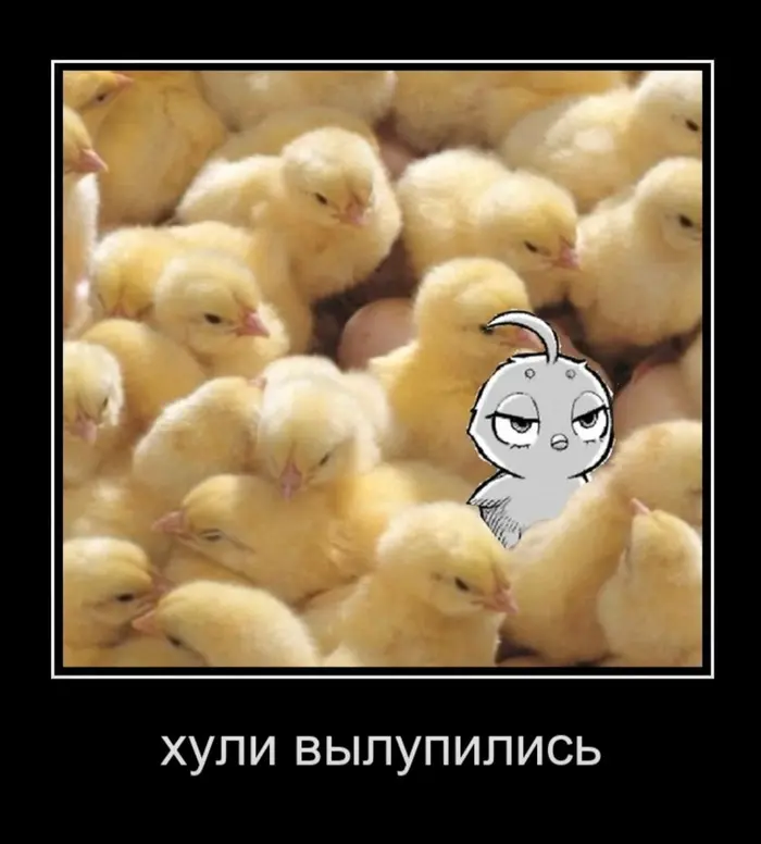 Страница 53