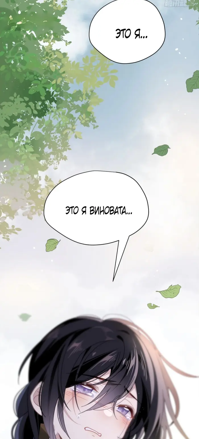 Страница 43
