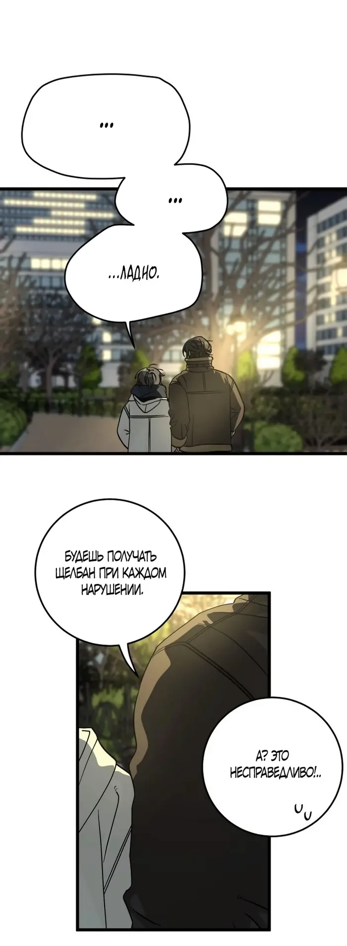 Страница 45