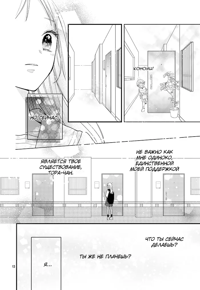 Страница 13