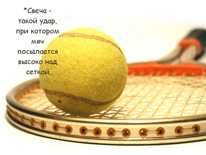 Страница 36