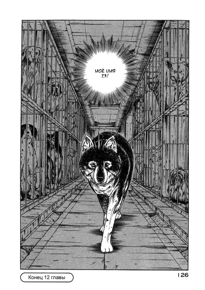 Страница 43